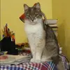 Отзыв от Евгения Горюнова